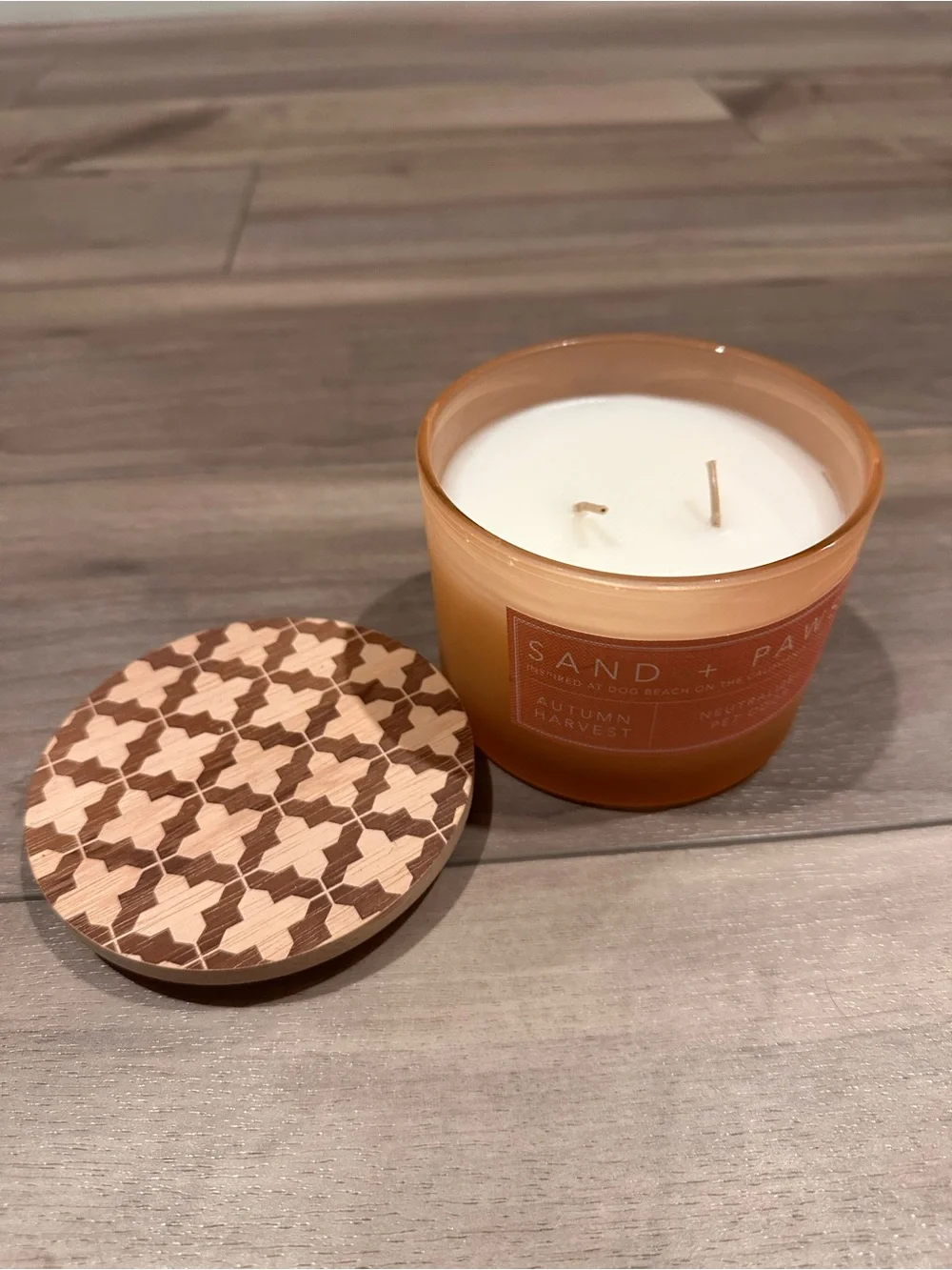 Autumn Harvest Orange Glass Candles sand + paws 🐾 autumn harvest 🍁
